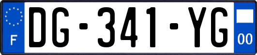 DG-341-YG