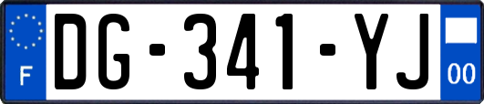 DG-341-YJ