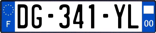 DG-341-YL