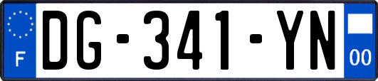 DG-341-YN