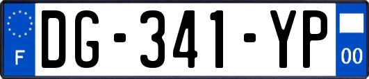 DG-341-YP