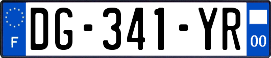 DG-341-YR