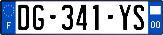 DG-341-YS