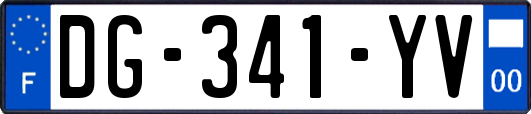 DG-341-YV