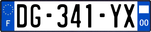 DG-341-YX
