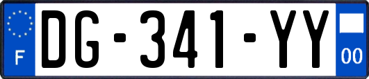DG-341-YY