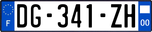 DG-341-ZH
