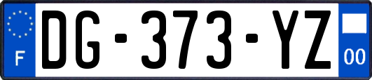 DG-373-YZ