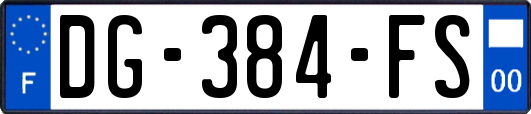 DG-384-FS