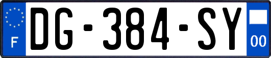 DG-384-SY