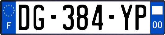 DG-384-YP