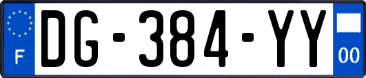 DG-384-YY