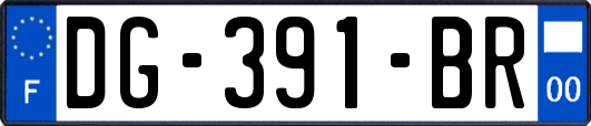 DG-391-BR