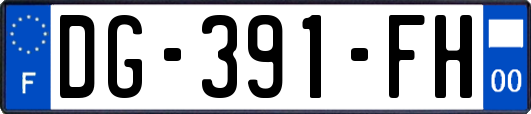 DG-391-FH