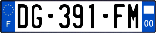 DG-391-FM