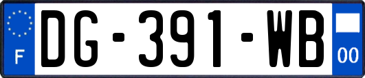 DG-391-WB