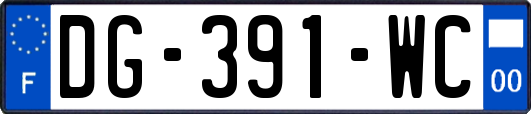 DG-391-WC