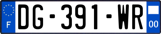 DG-391-WR