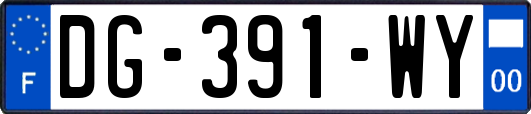 DG-391-WY