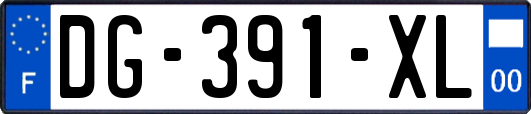 DG-391-XL