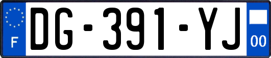 DG-391-YJ