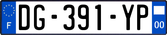 DG-391-YP