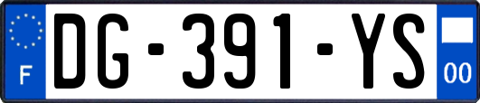 DG-391-YS