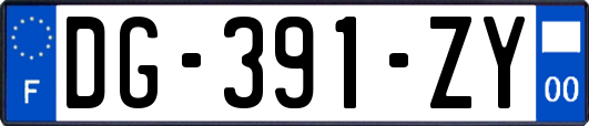 DG-391-ZY