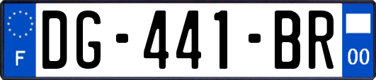 DG-441-BR