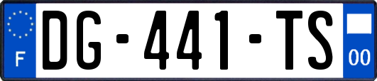 DG-441-TS