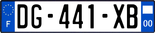 DG-441-XB