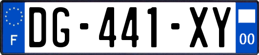 DG-441-XY