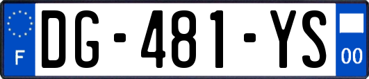 DG-481-YS