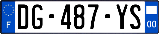 DG-487-YS