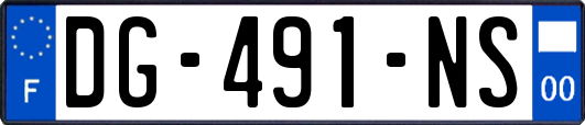 DG-491-NS