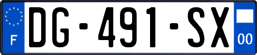 DG-491-SX