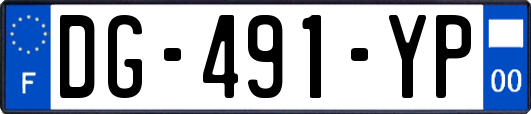 DG-491-YP