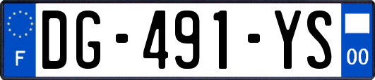 DG-491-YS