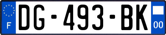 DG-493-BK