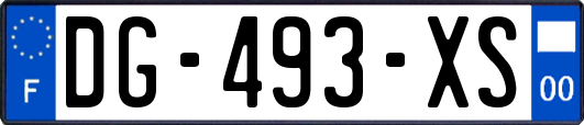 DG-493-XS