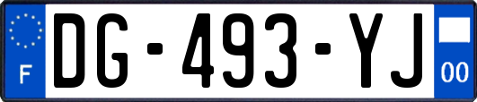 DG-493-YJ