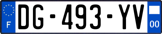 DG-493-YV