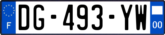 DG-493-YW