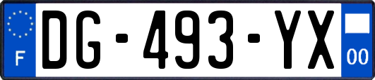 DG-493-YX