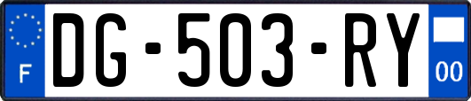 DG-503-RY