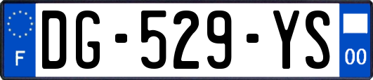 DG-529-YS
