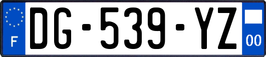 DG-539-YZ