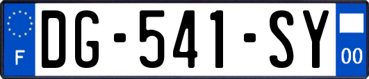 DG-541-SY