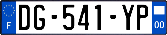 DG-541-YP