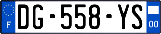 DG-558-YS